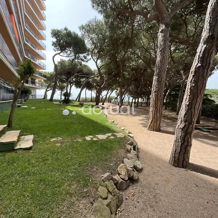 Cavall Bernat 84 Castell-Platja d'Aro