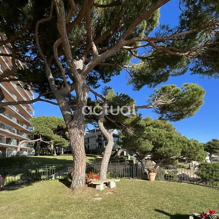 Cavall Bernat 84 * Castell-Platja d'Aro