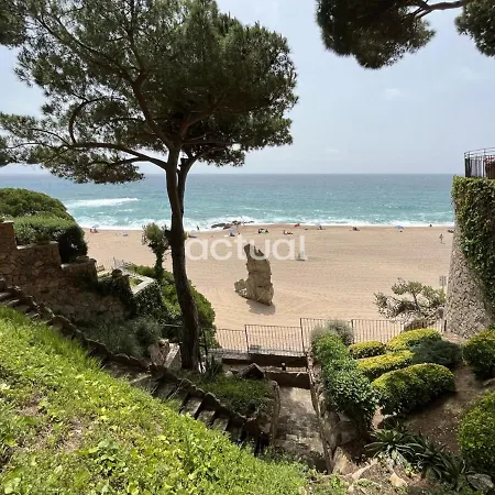 Cavall Bernat 84 * Castell-Platja d'Aro