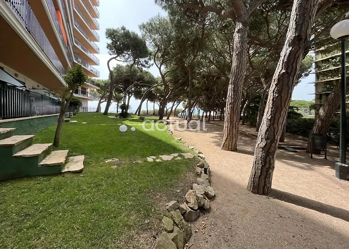 Cavall Bernat 84 Platja d'Aro