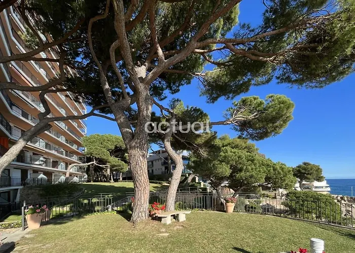 Cavall Bernat 84 * Platja d'Aro